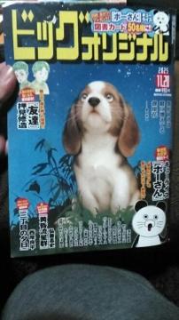 rbOR~bNIWi 2025N1120