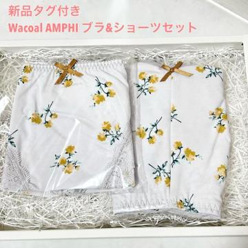Vi Wacoal R[ AMPHI AtB uV[cZbg M L
