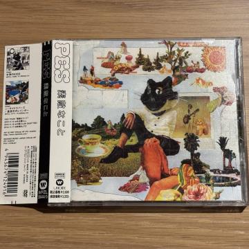 �yPES�z�f�G�Ȃ��� (DVD�t��)