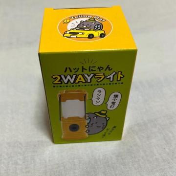 �������݁I�n�b�g�ɂ�� 2WAY���C�g