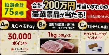 ׂpay3|Cg/ߍ]T[C1kg/Ȃ1