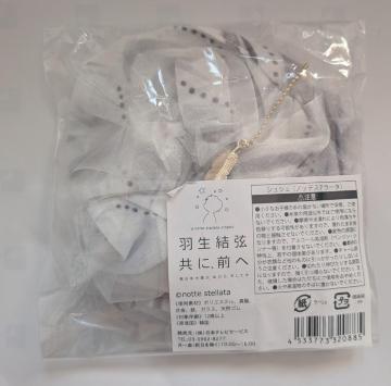 HW ɑOց`notte stellata`VV