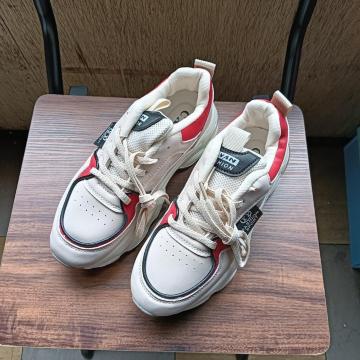 Vi 22.5cm fB[X Xj[J[ zCg V[Y C JWA