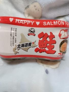 �k�C���Y�A���t���[�N�Q�p�b�N