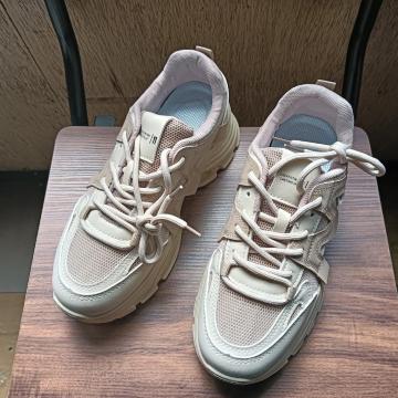 Vi 24.5cm fB[X Xj[J[ uE V[Y C 