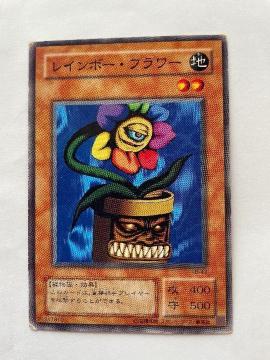 遊戯王【地・レインボーフラワー】