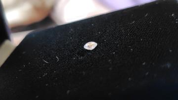 �V�R�_�C�������h0.3ct���H�p���[�X��