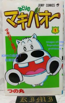  ݂ǂ̃}LoI[ 1 R~bN 1995 ̊ () WvR~bNX 1st Edition Midori no