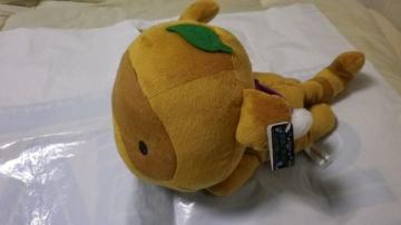 dρ~lSS nKʂ݃}t[K ʂڂ