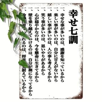 ����������690�~�����[�����X�ȃ��B���e�[�W���^���T�C���A�K���V�P�@�@���ŕǂ𑕏�����̂ɍœK 20�~30cm