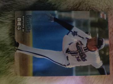 �v���싅�`�b�v�X�J�[�h