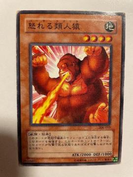 遊戯王【地・怒れる類人猿】