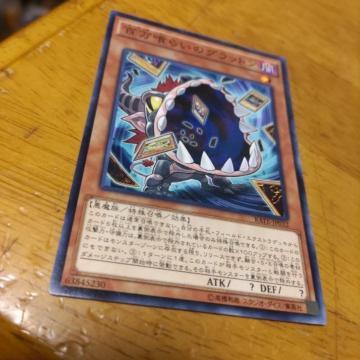 VY S炢̃Obg