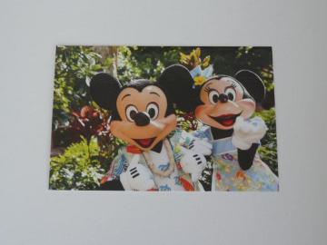 ディズニー ミッキー ミニー ハワイ アウラニ ディズニーリゾート ポストカード