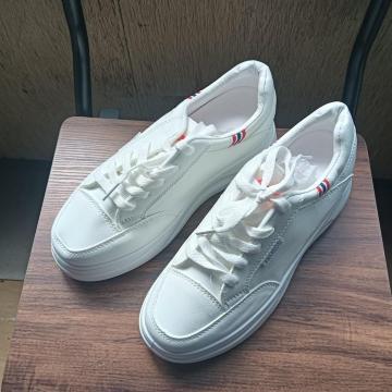 Vi 24cm fB[X Xj[J[ zCg V[Y C JWA
