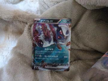 �|�P�����J�[�h�@�A�u�\��ex