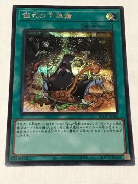 VY V̉ RC04-JP056 V[NbgA