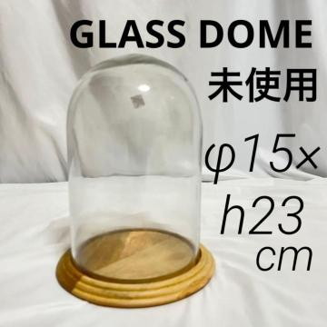 gp c ^ KXh[ KXP[X  ؐ 23cm @ GLASS DOME