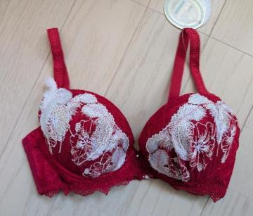 �d�U�T��X-Rated���S�[�W���X�h�J�Z�N�V�[�u���W���[���V�i����������