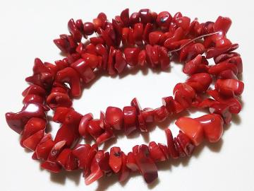 �V�R�΁��ԎX��@������@�P�A