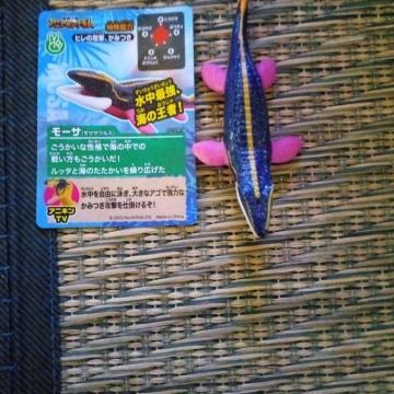 �}�N�h�i���h�@�n�b�s�[�Z�b�g�@�A�j�A�L���O�_���@���[�T(���T�T�E���X)