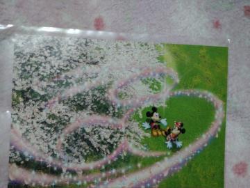 ディズニー ミッキー&ミニー ☆ ポストカード 桜柄 A横長 @