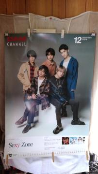 񔄕iuSexy Zonev|X^[
