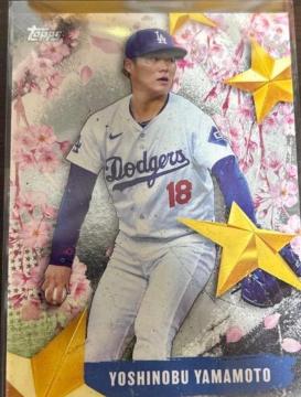 �R�{�R�L�g���J