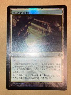 MTG MOR �Ԃ₫��/Murmuring Bosk ���{�� Foil 1��