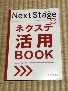 񔄕iIlNXe[W@NextStage@lNXepBOOK@SGfBV@ˌX