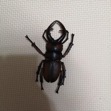 クワガタの模型