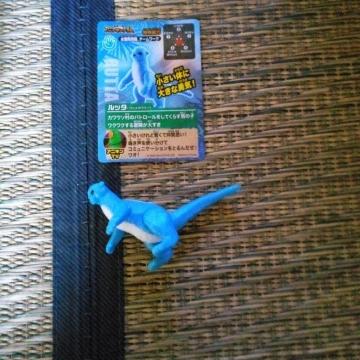 �}�N�h�i���h�@�n�b�s�[�Z�b�g�@�A�j�A�L���O�_���@���b�^