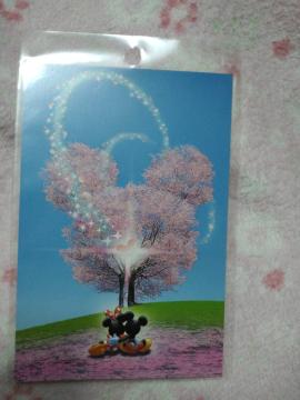 fBYj[ ~bL[~j[  |XgJ[h B @