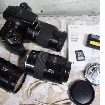 1 / 10 UTpiłPۏ؁\j[UT჌tJYR{t