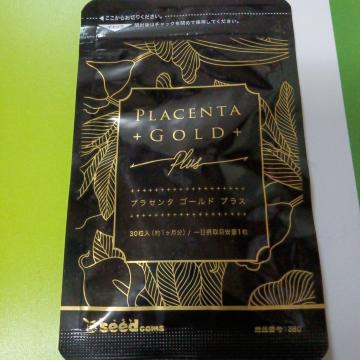 �v���Z���^�S�[���h1������