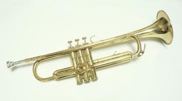 YAMAHA gybgEYTR-233@I