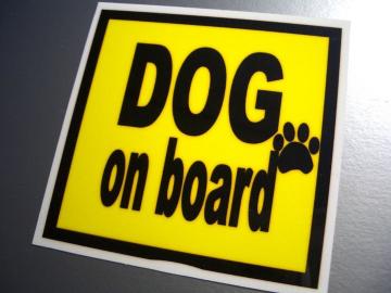 DOG on boardCG[XebJ[Ă܂I