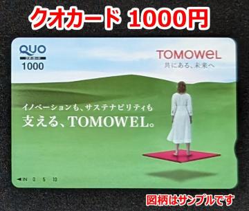 NIJ[h 1000~i1000~1 ܂ 500~2j@QUOJ[h 1000 |Cg 