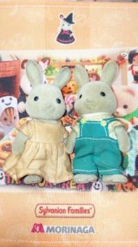 �V���o�j�A�t�@�~���[�����������O���[�������̂������񂨕ꂳ��Z�b�gSylvanian Families�h�[���l�`