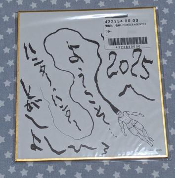 WvtFX^ WtFX 2025 ~jF HUNTER~HUNTER n^[n^[ fW^ TNWv