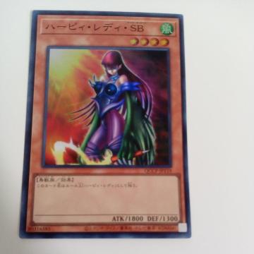 �n�[�r�B���f�BSB