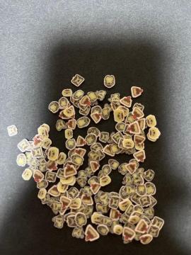 �l�C���p�[�c�@���W���@�\�t�g�^�C�v�@�v����