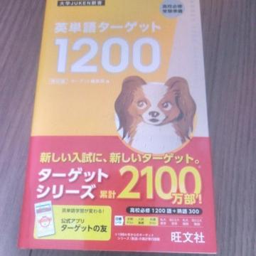 �p�P��^�[�Q�b�g 1200