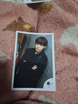 IMP.��r��ʐ^