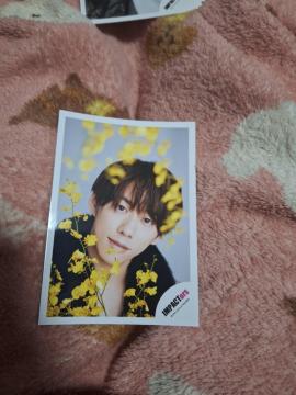 IMP.��r��ʐ^