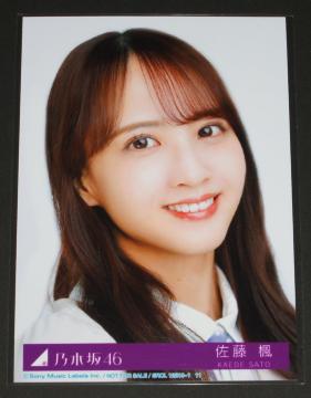 �T�؍�46�@�D���Ƃ����̂̓��b�N����!�@���ʐ^�P���@������