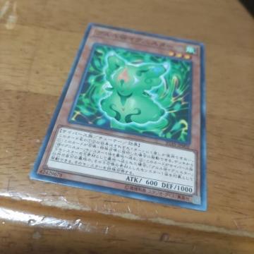 VY u@COjX^[