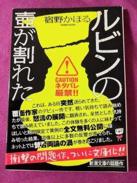 文庫「ルビンの壺が割れた」