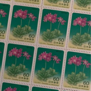 249LO3600~(60~؎)