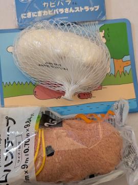 �J�s�o������Z�b�g